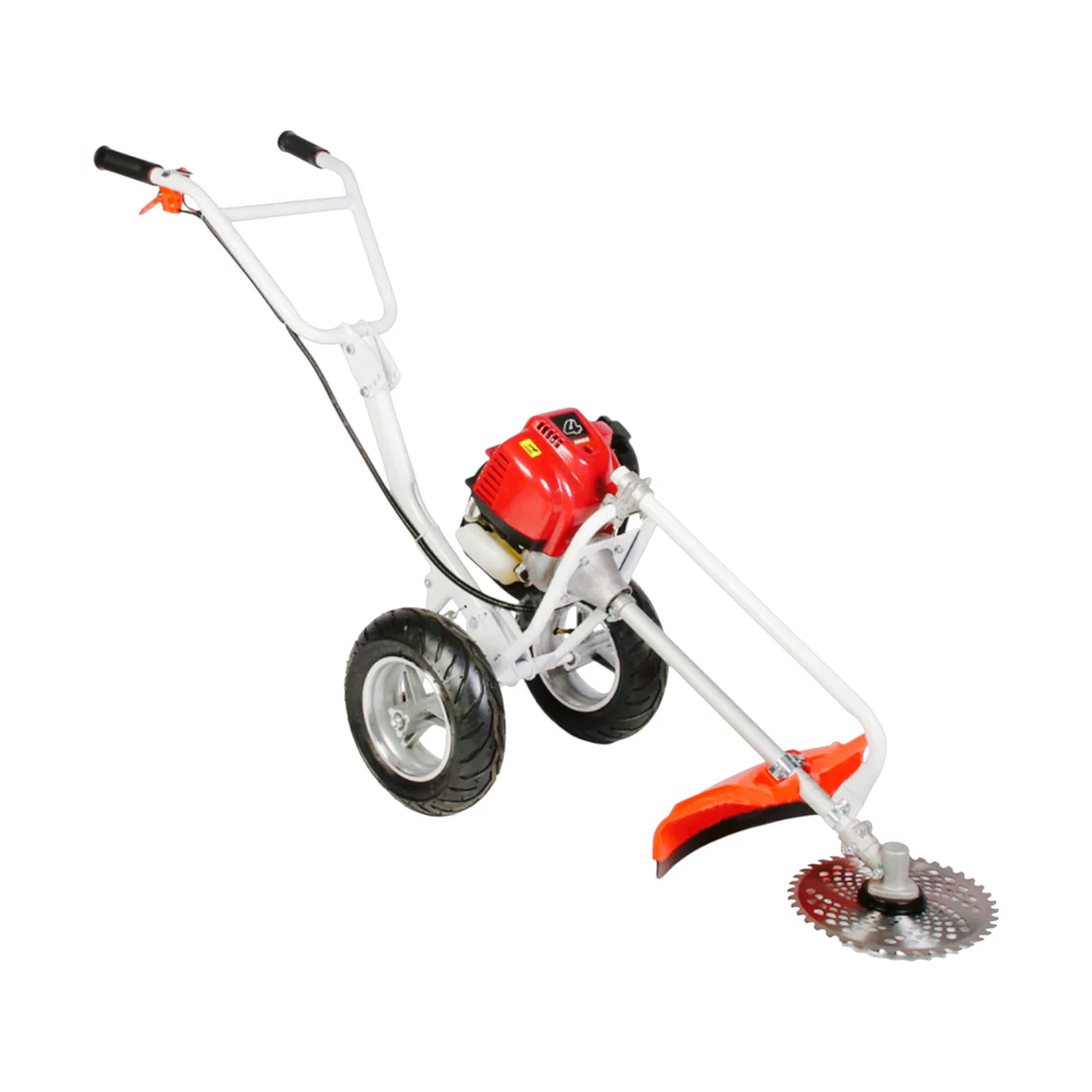 Lawn Gardening